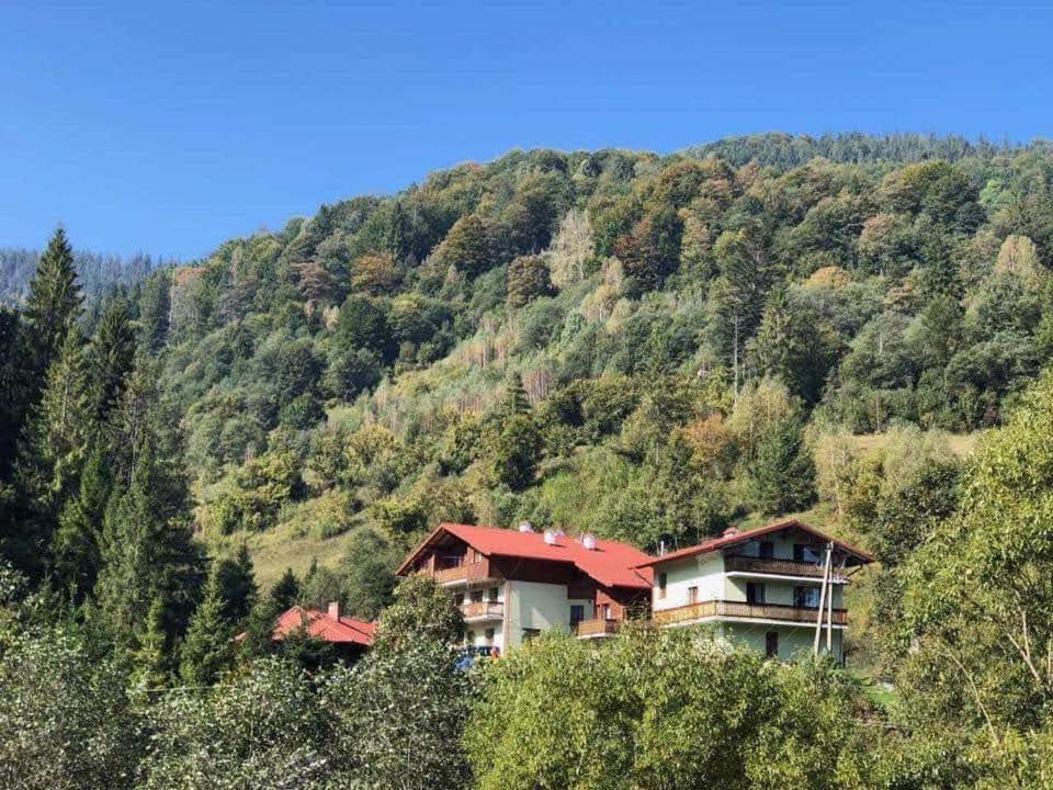 Лісова Казка Hotel Slavske Eksteriør billede